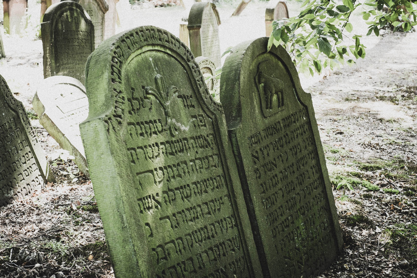 Hanau, Jüdischer Friedhof